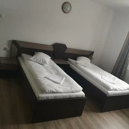 Pensjonat Lion Sebeş